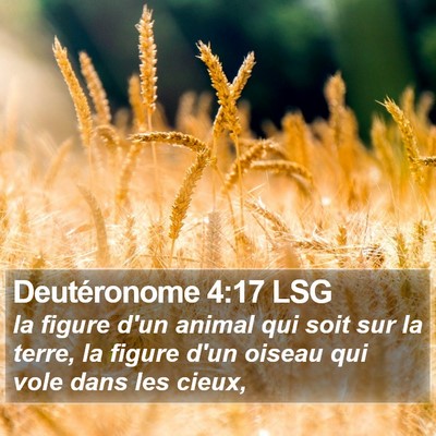 Deutéronome 4:17 LSG Bible Verse Image