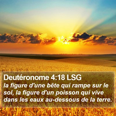Deutéronome 4:18 LSG Bible Verse Image