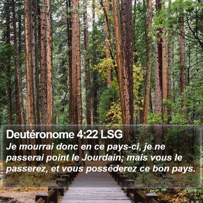 Deutéronome 4:22 LSG Bible Verse Image