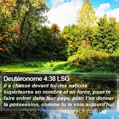 Deutéronome 4:38 LSG Bible Verse Image