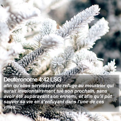 Deutéronome 4:42 LSG Bible Verse Image