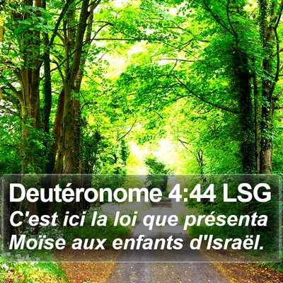 Deutéronome 4:44 LSG Bible Verse Image