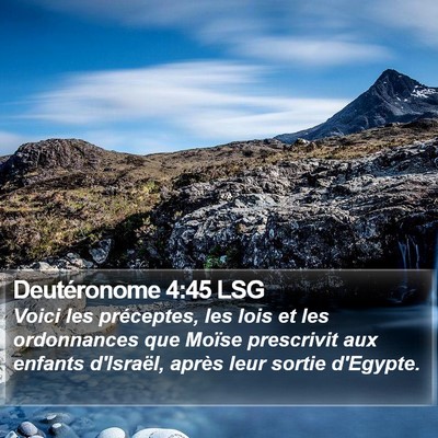 Deutéronome 4:45 LSG Bible Verse Image