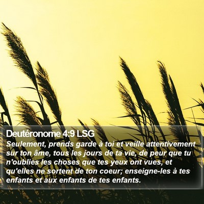 Deutéronome 4:9 LSG Bible Verse Image