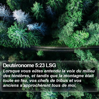 Deutéronome 5:23 LSG Bible Verse Image