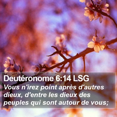 Deutéronome 6:14 LSG Bible Verse Image