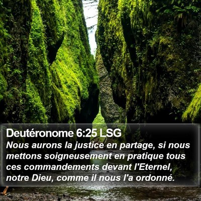 Deutéronome 6:25 LSG Bible Verse Image