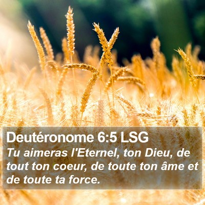Deutéronome 6:5 LSG Bible Verse Image