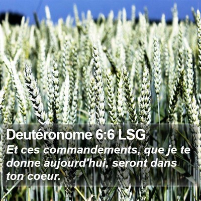 Deutéronome 6:6 LSG Bible Verse Image