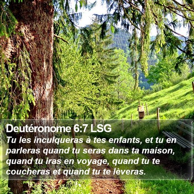 Deutéronome 6:7 LSG Bible Verse Image
