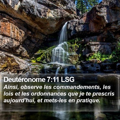 Deutéronome 7:11 LSG Bible Verse Image