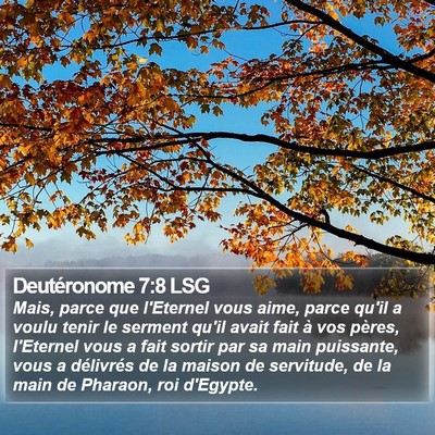 Deutéronome 7:8 LSG Bible Verse Image