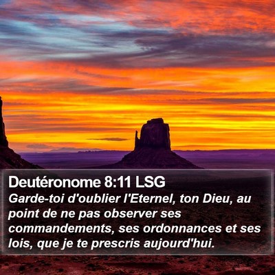 Deutéronome 8:11 LSG Bible Verse Image
