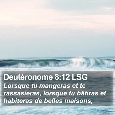 Deutéronome 8:12 LSG Bible Verse Image