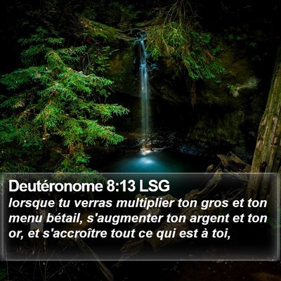 Deutéronome 8:13 LSG Bible Verse Image