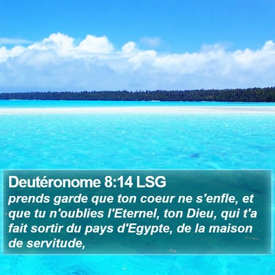 Deutéronome 8:14 LSG Bible Verse Image