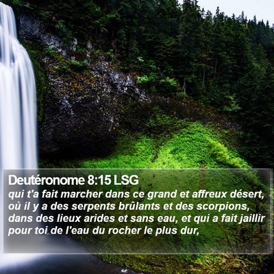 Deutéronome 8:15 LSG Bible Verse Image