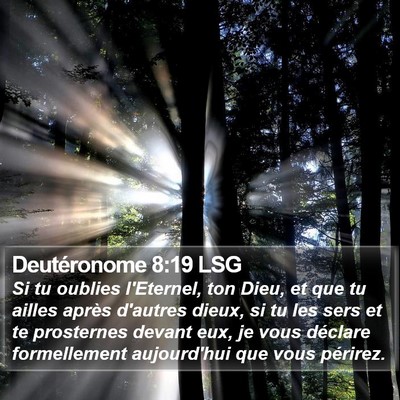 Deutéronome 8:19 LSG Bible Verse Image