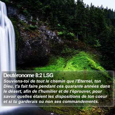 Deutéronome 8:2 LSG Bible Verse Image