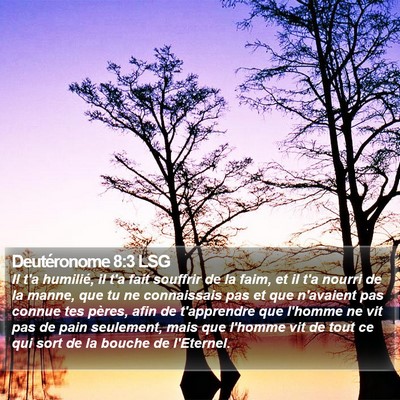 Deutéronome 8:3 LSG Bible Verse Image