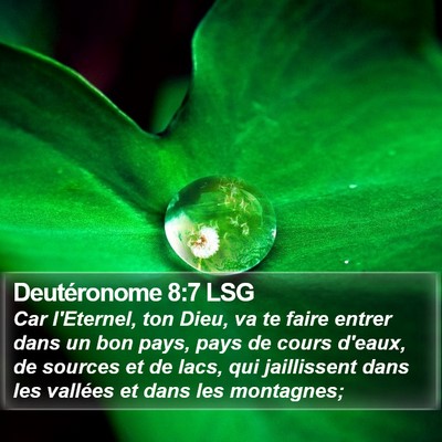 Deutéronome 8:7 LSG Bible Verse Image