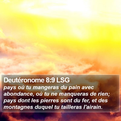 Deutéronome 8:9 LSG Bible Verse Image