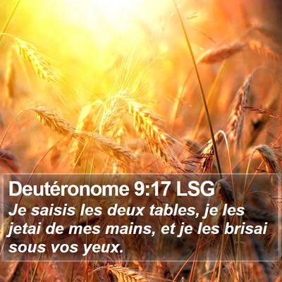 Deutéronome 9:17 LSG Bible Verse Image
