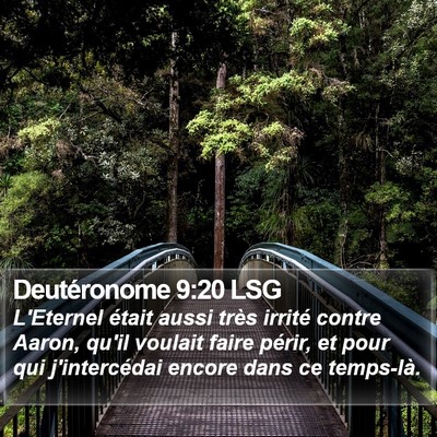 Deutéronome 9:20 LSG Bible Verse Image