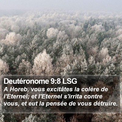 Deutéronome 9:8 LSG Bible Verse Image