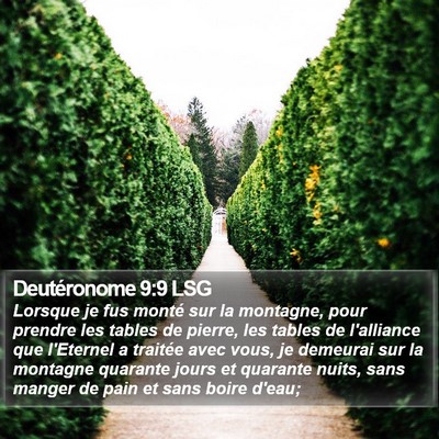 Deutéronome 9:9 LSG Bible Verse Image