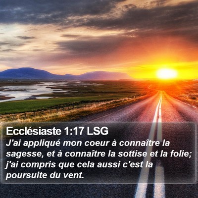 Ecclésiaste 1:17 LSG Bible Verse Image