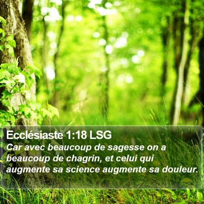 Ecclésiaste 1:18 LSG Bible Verse Image