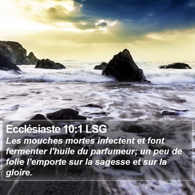 Ecclésiaste 10:1 LSG Bible Verse Image