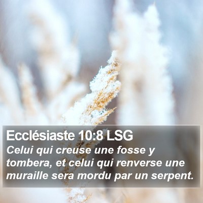 Ecclésiaste 10:8 LSG Bible Verse Image