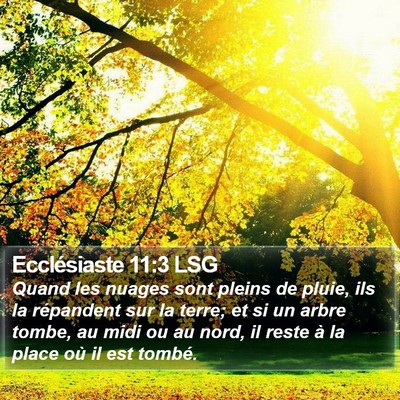 Ecclésiaste 11:3 LSG Bible Verse Image