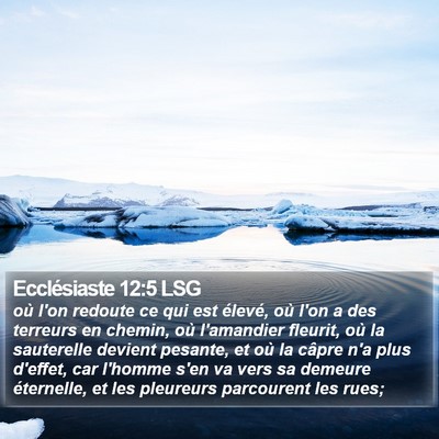 Ecclésiaste 12:5 LSG Bible Verse Image
