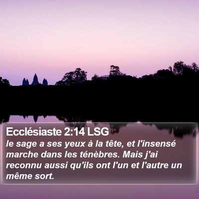 Ecclésiaste 2:14 LSG Bible Verse Image