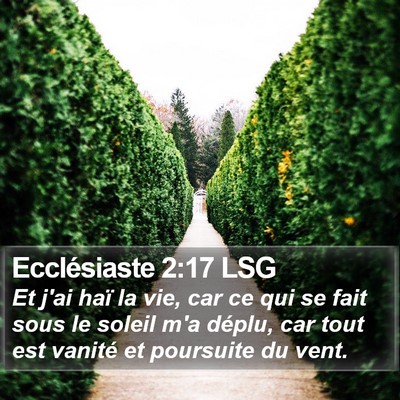 Ecclésiaste 2:17 LSG Bible Verse Image