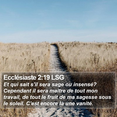 Ecclésiaste 2:19 LSG Bible Verse Image