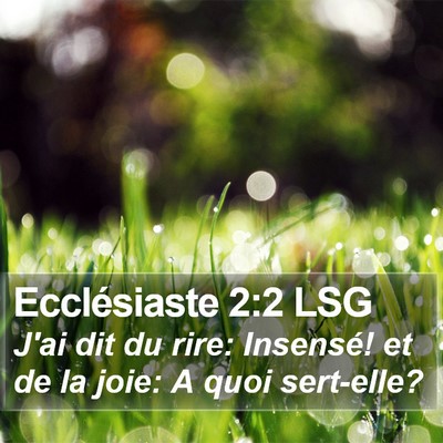 Ecclésiaste 2:2 LSG Bible Verse Image