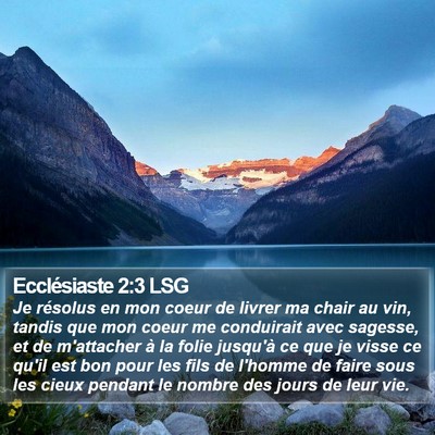 Ecclésiaste 2:3 LSG Bible Verse Image