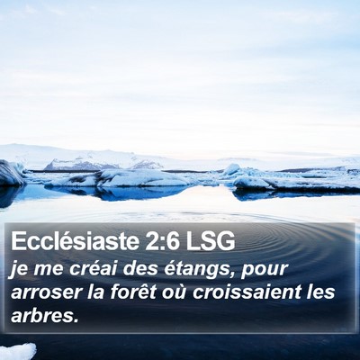 Ecclésiaste 2:6 LSG Bible Verse Image