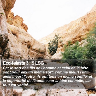 Ecclésiaste 3:19 LSG Bible Verse Image