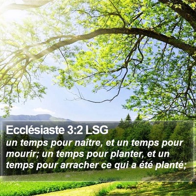 Ecclésiaste 3:2 LSG Bible Verse Image