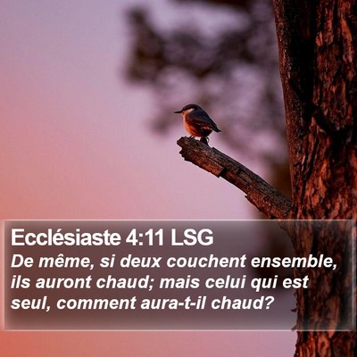 Ecclésiaste 4:11 LSG Bible Verse Image