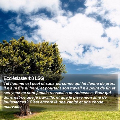 Ecclésiaste 4:8 LSG Bible Verse Image