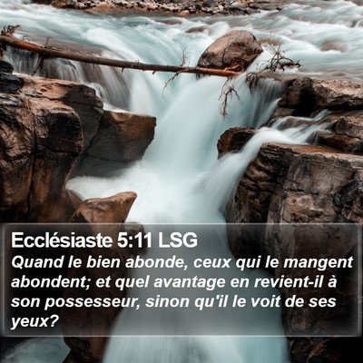 Ecclésiaste 5:11 LSG Bible Verse Image