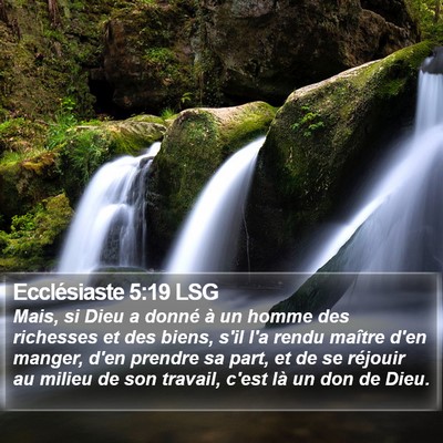 Ecclésiaste 5:19 LSG Bible Verse Image
