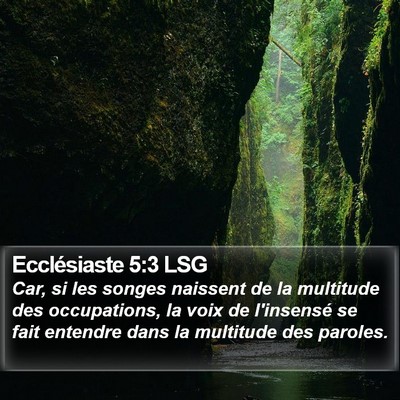 Ecclésiaste 5:3 LSG Bible Verse Image