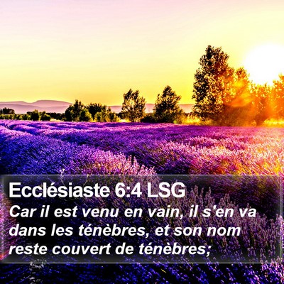 Ecclésiaste 6:4 LSG Bible Verse Image
